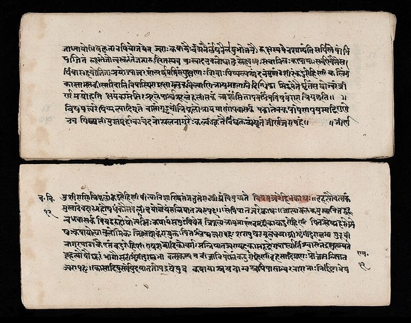 Manuscript section of the Charaka Samhita