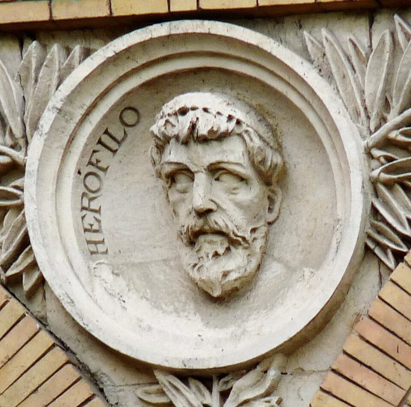 Medallion portrait of Herophilus at the old medical faculty in Zaragoza
