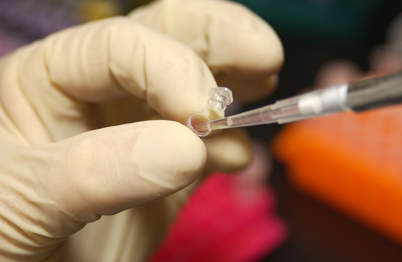 A gloved hand using a pipette in a laboratory